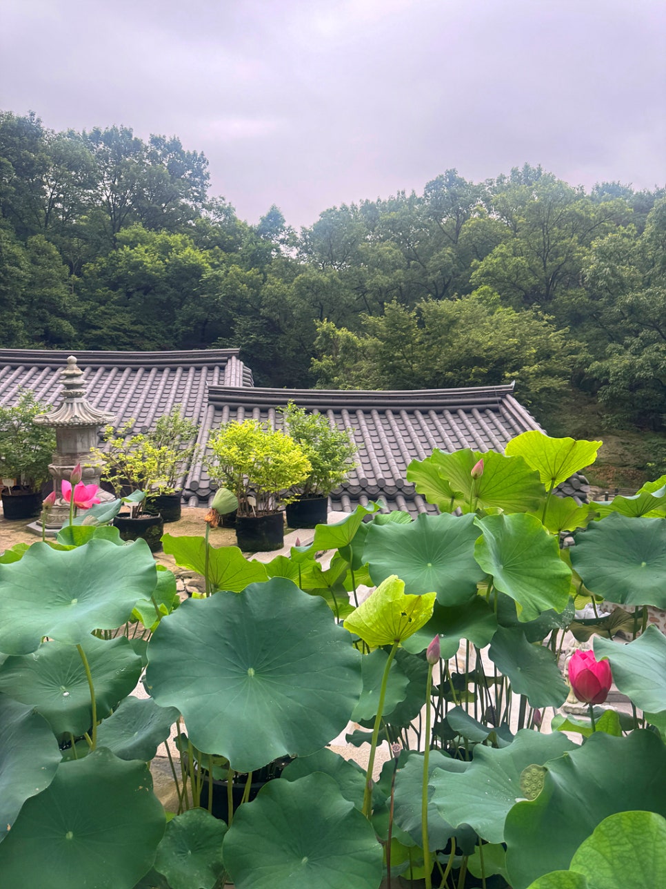 서울 계곡 추천 - 부암동 백사실 계곡 산책코스!