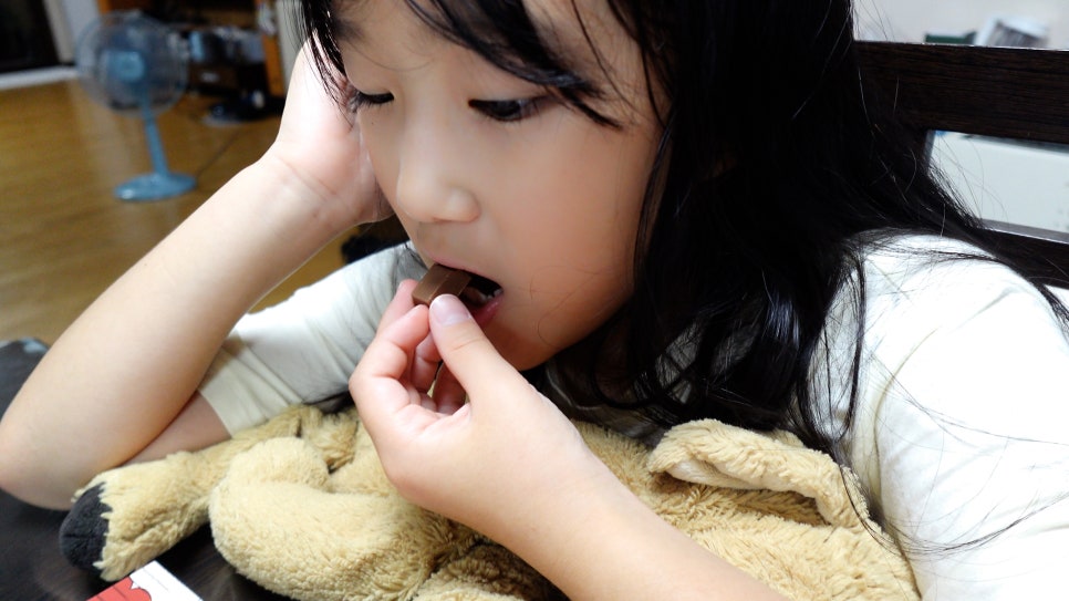 비타와이즈초콜릿 비타민초콜릿 유산균초콜릿