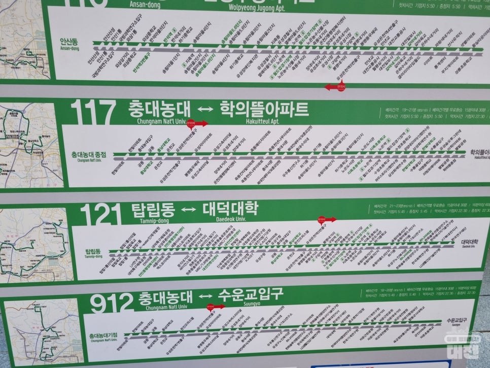 대전 시민의 든든한 발 시내버스, 시민 편의를 위해 개편했어요!