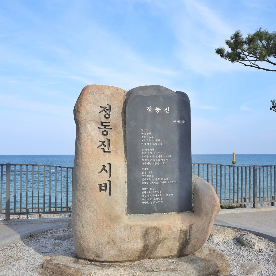 정동진 썬크루즈 호텔 리조트 수영장 숙소 추천 정동진 가볼만한곳 정동진역