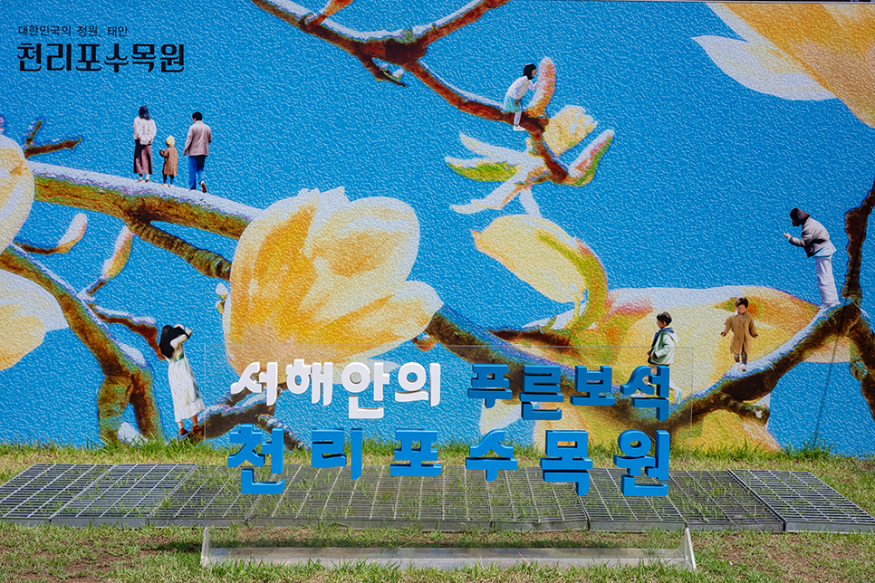 충남 나들이 태안 천리포수목원의 여름