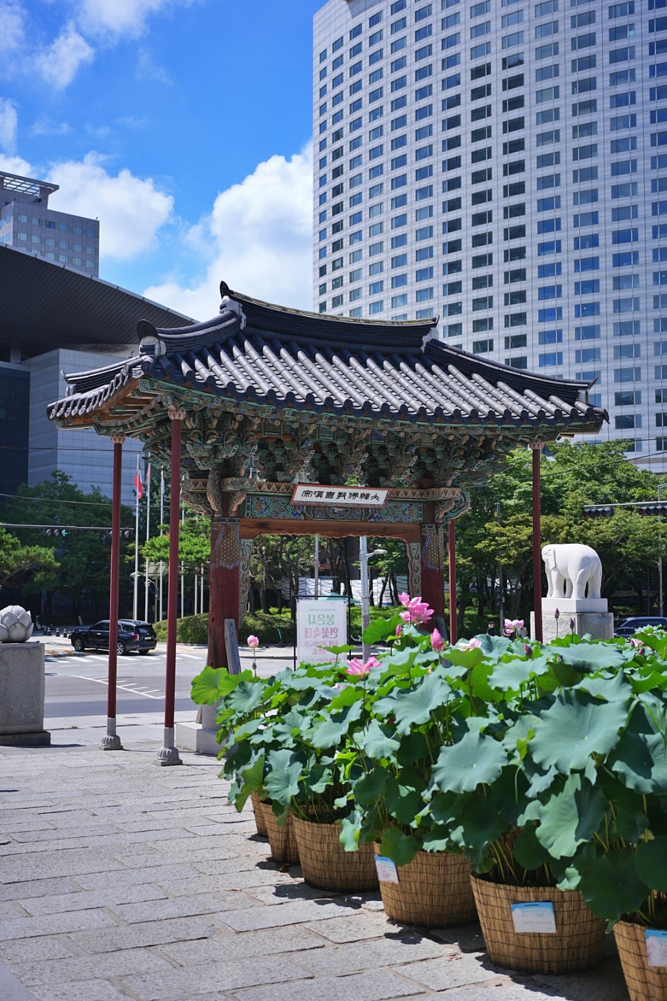 봉은사 (2025. 8. 4.)