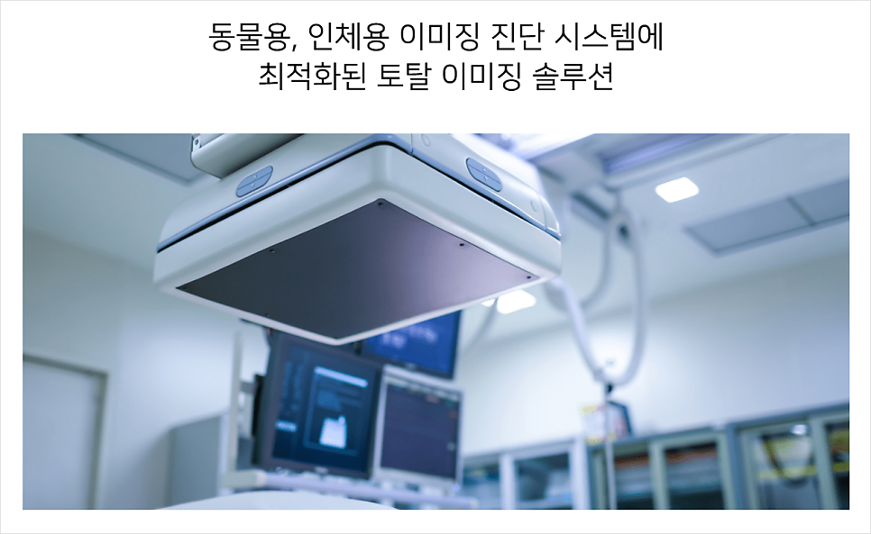 제이피아이헬스케어 공모주 청약 전략 살펴보면