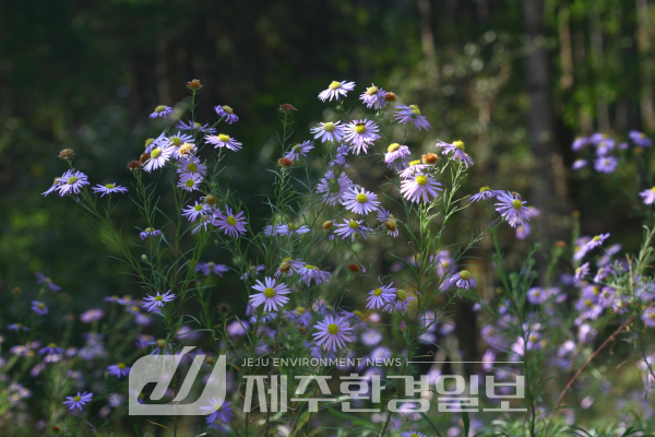 28개 수목원·식물원 함께..450종 국가 희귀·특산식물 지켜