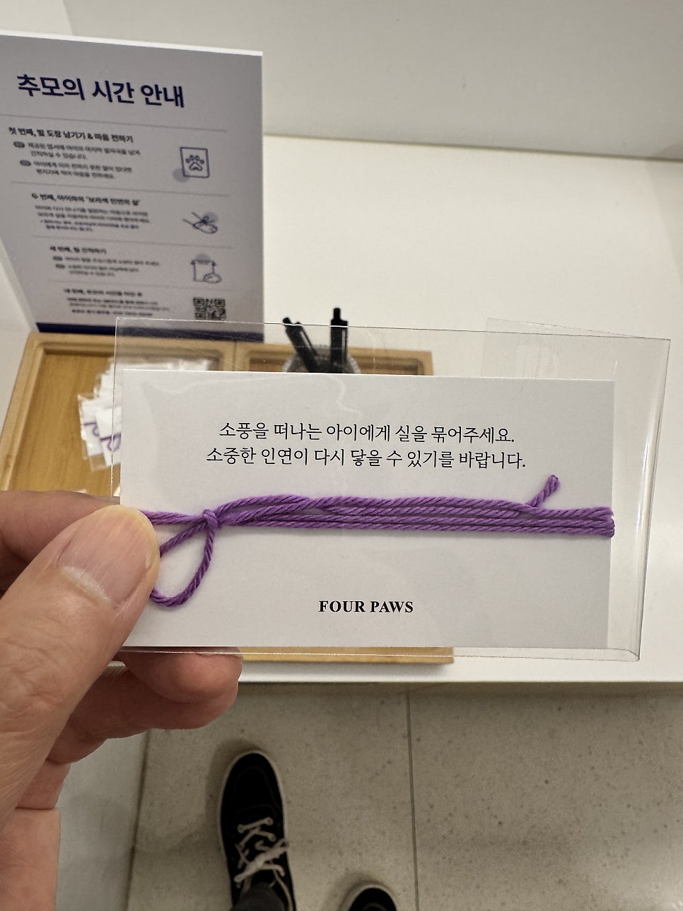 비투가 하늘나라로 소풍을 떠났어요. 소중한 인연이 다시 닿을 수 있기를...