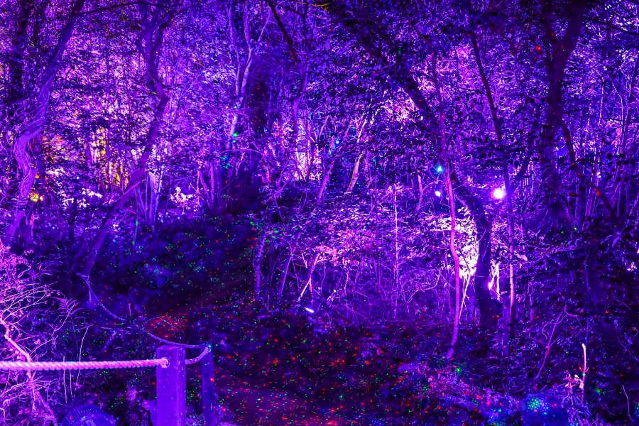 제주도 서귀포 가볼만한곳 제주 야경 BEST 명소