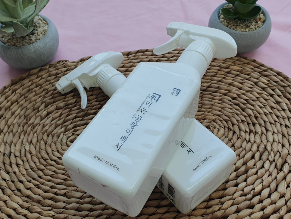 벽지 곰팡이제거제 잘못 닦으면 더 번져요
