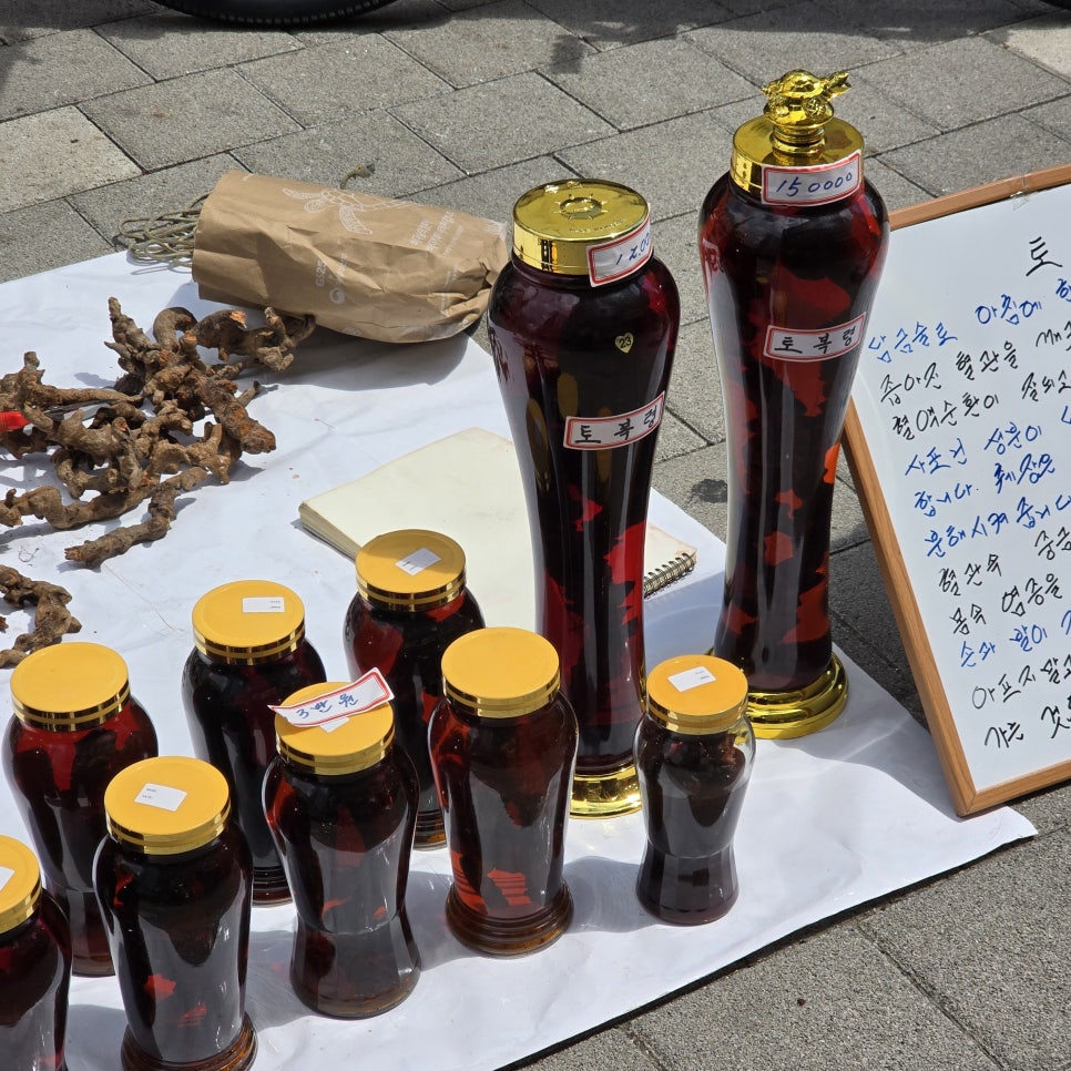 몸속 독소 배출 돕는 토복령 효능, 달이는 법과 부작용, 알고 드세요