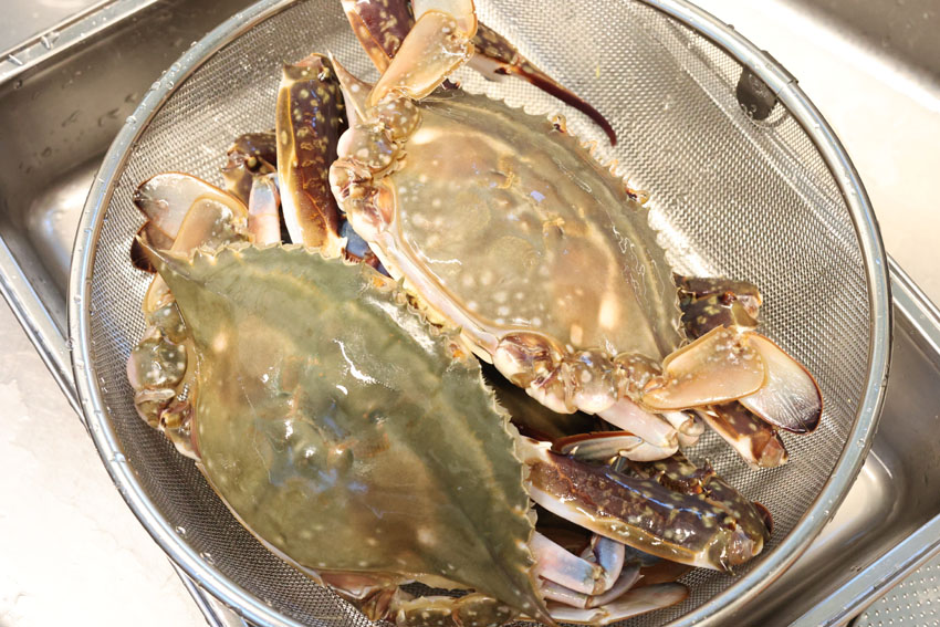 꽃게 찌는법 손질 꽃게찌는시간 꽃게찜 레시피