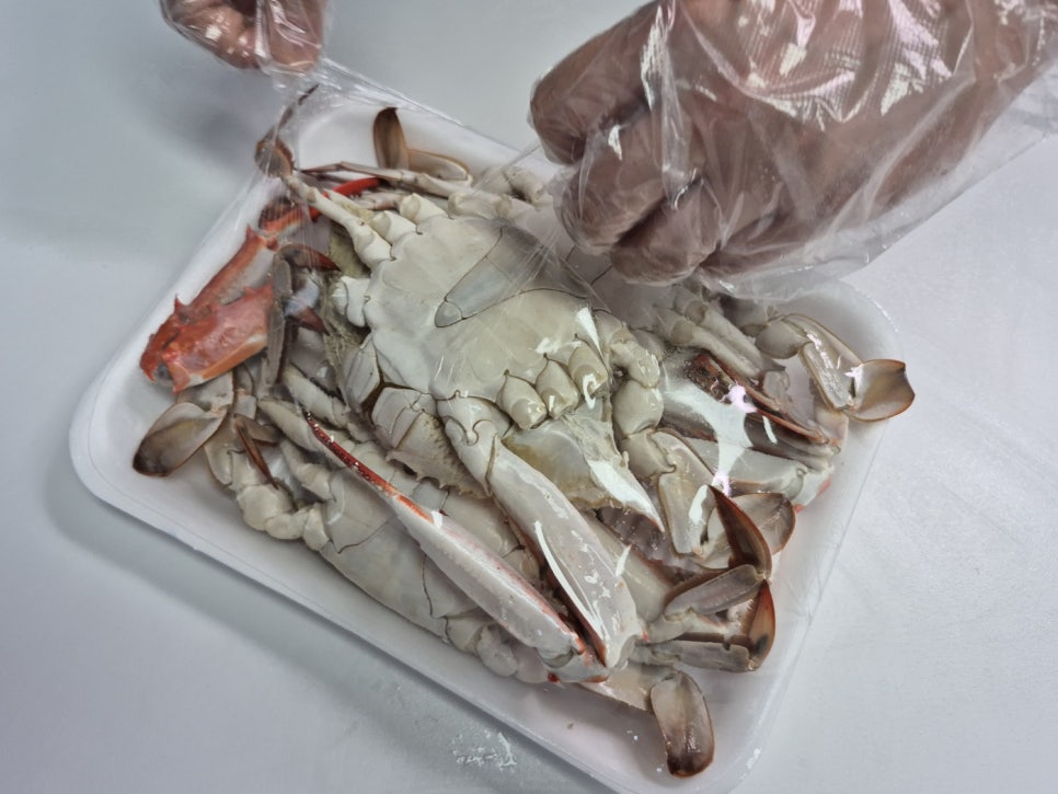 가락시장 꽃게시세 가을 제철 바다나라 포장 주차정보 살펴보기