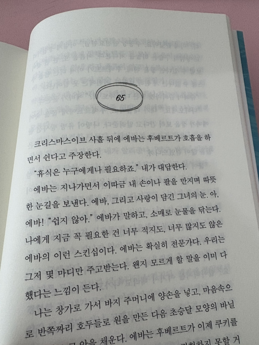 <월요일 수요일 토요일>신간도서 : 한 소녀의 따스한 돌봄이 전해준 삶의 온기 책추천