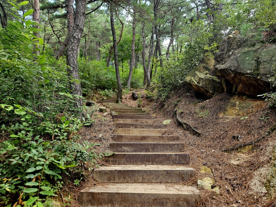 대전 계족산 최단코스 용화사 봉황정