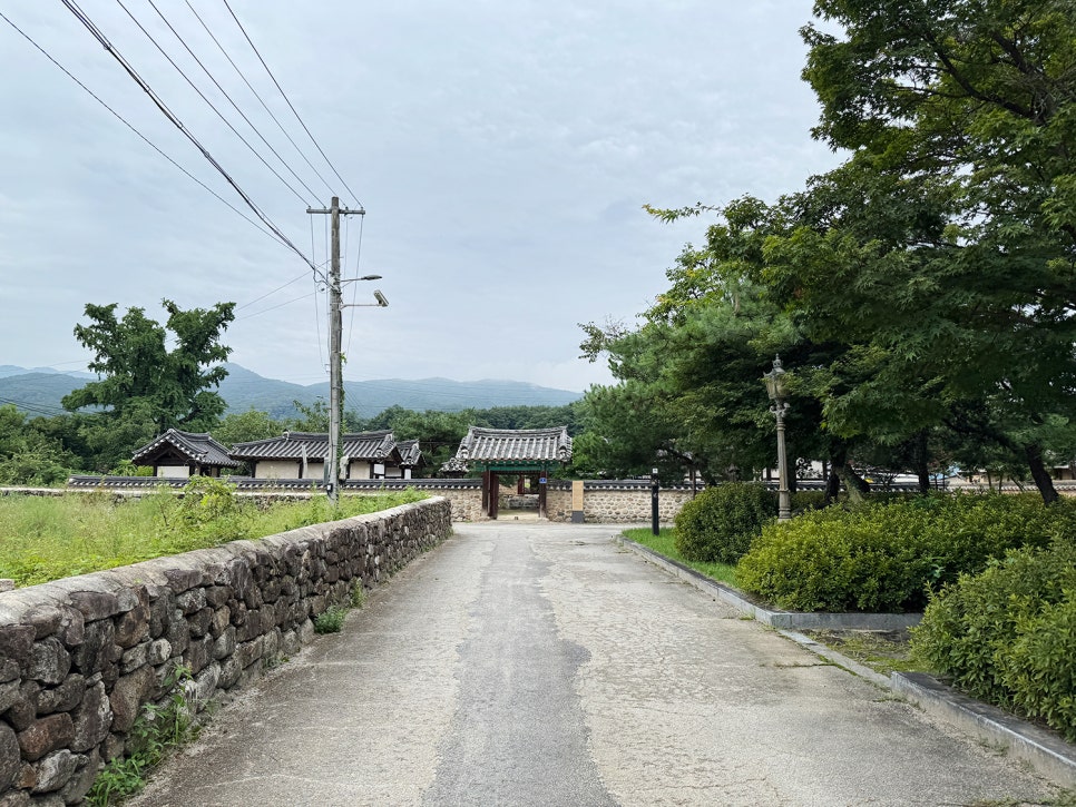 영주 금성대군 신단, 단종 복위를 위해 분투했던 삼촌의 이야기