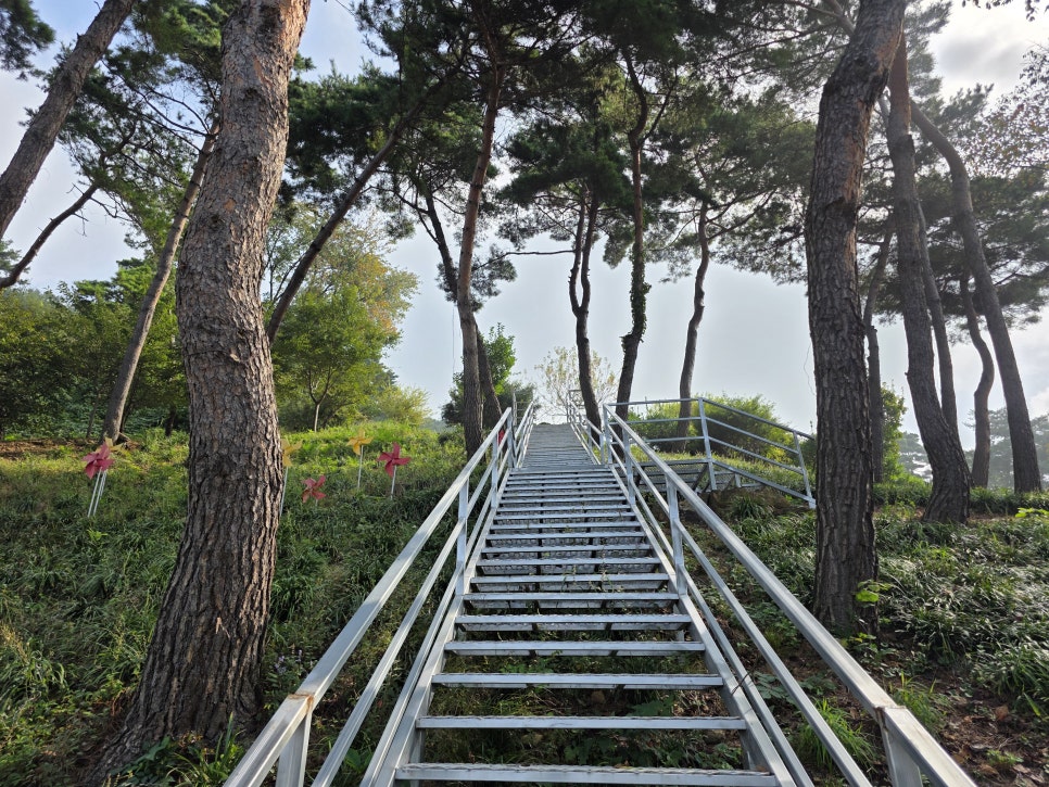 충북 충주 가볼만한곳 드림숲 충주호 드라이브 코스