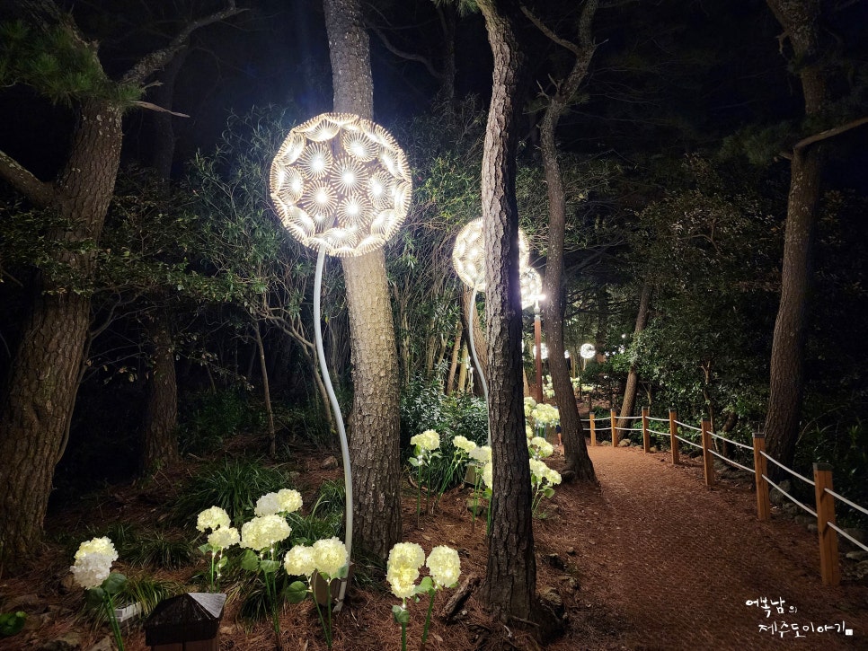10월 제주도 여행 속골 유원지부터 서귀포 매일 올레시장 영빈횟집 새연교 새섬 둘레길까지 추석 연휴 1일차