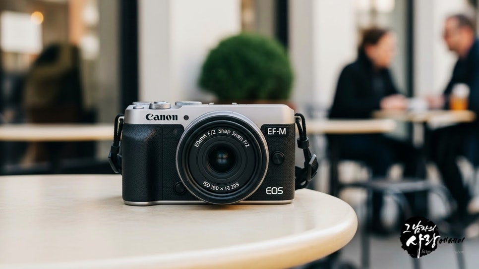 캐논 22mm 24mm 캐논35MMF1.4 50MM1.4 캐논 단렌즈 용도.