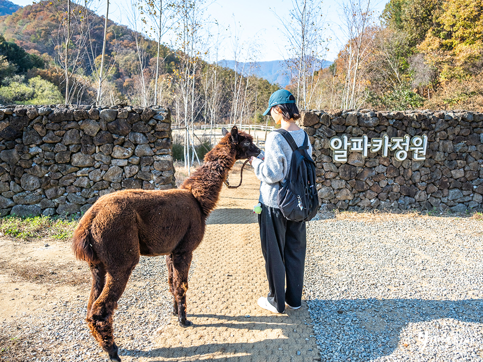 경기도 가평 가볼만한곳 남이섬 가평 카페 등 여행 코스