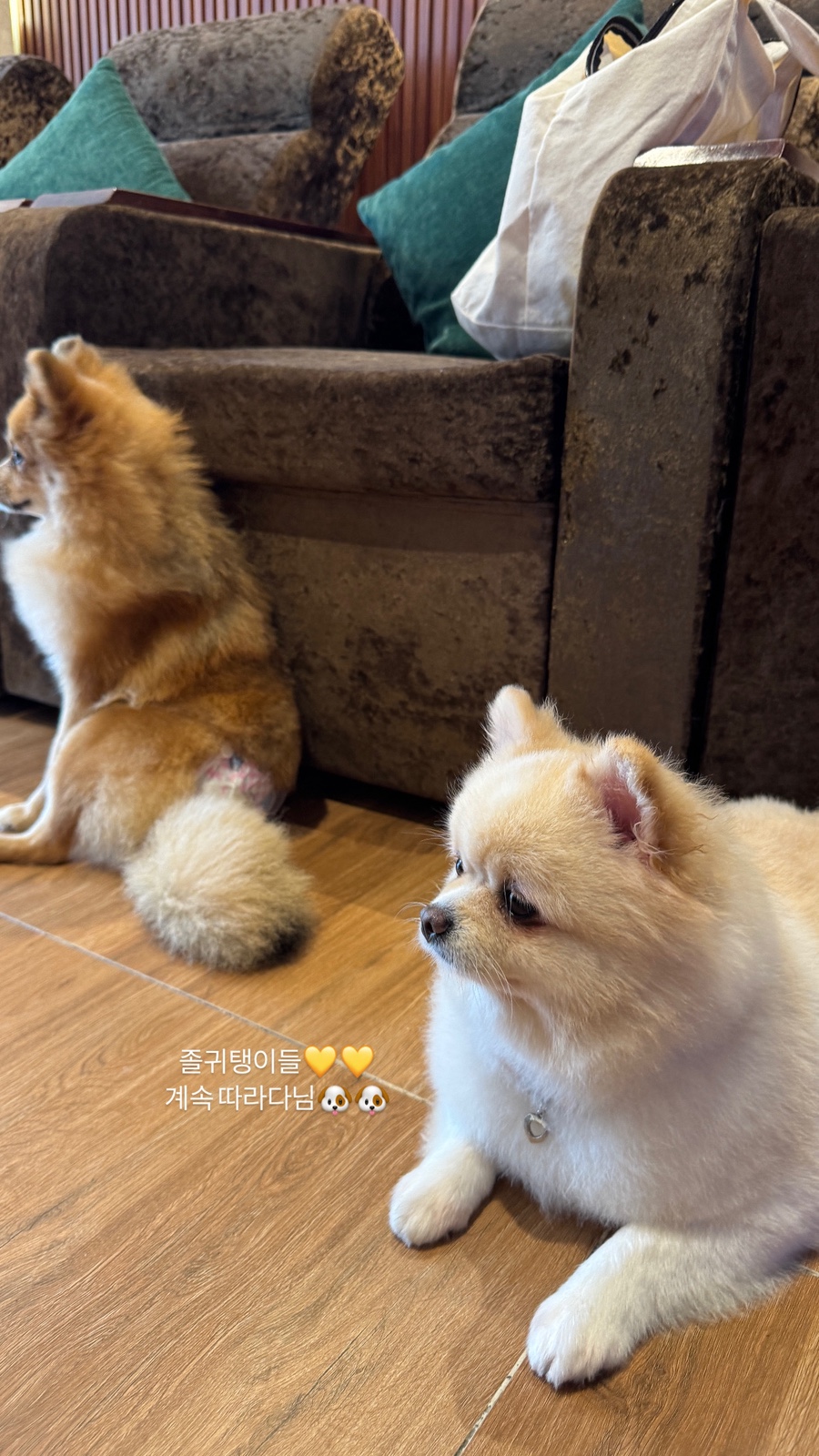 호이안 마사지 가격 안방비치 만다라스파
