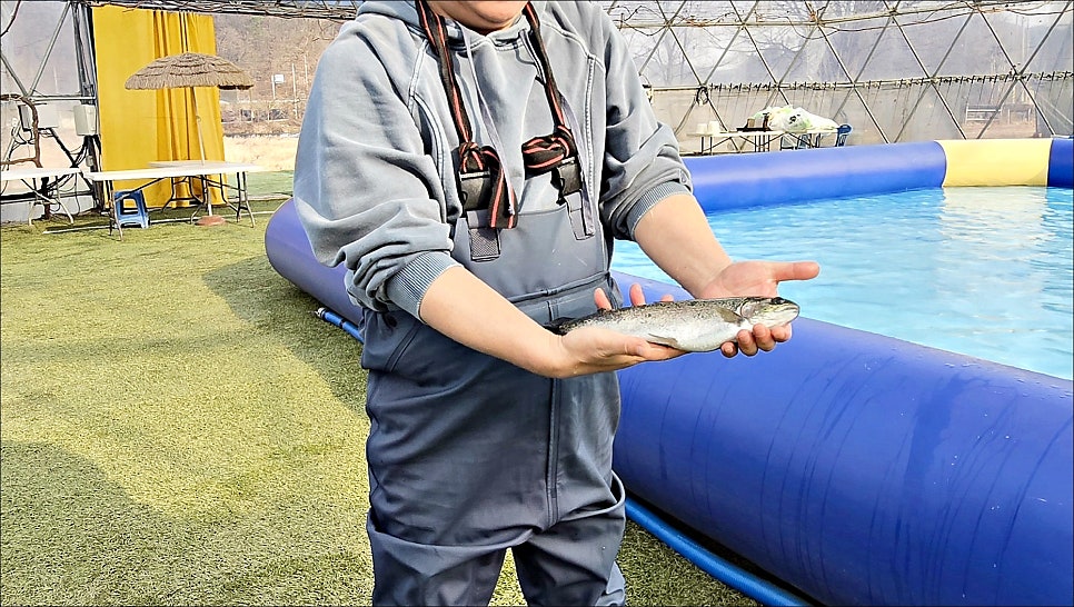 경기도 양평 아이와 가볼만한곳 겨울 양평여행 추천 수미마을 빙송어축제
