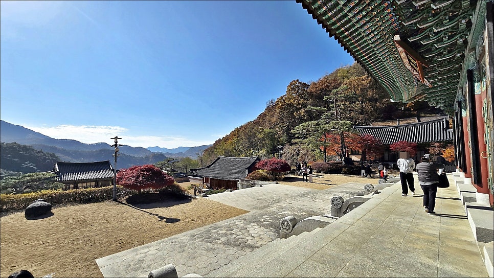 충주 단풍 명소 가을 여행 갈만한곳 충주 여행 코스 석종사 단풍 구경