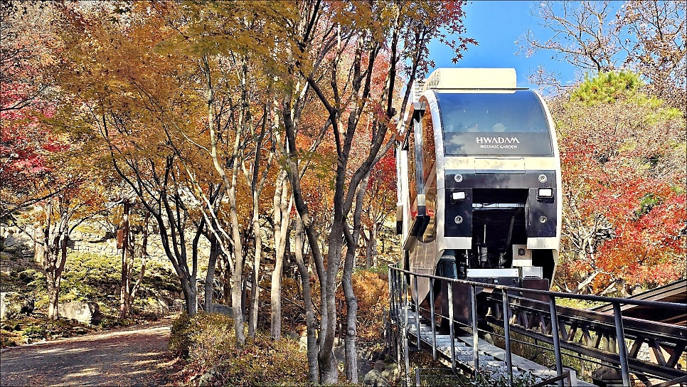 서울근교갈만한곳 단풍 명소 곤지암 화담숲모노레일 단풍 구경 경기도 당일치기 여행