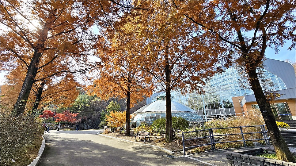 서울근교 단풍 구경 추천 여행지 경기도 여주 황학산수목원 단풍 데이트 추천