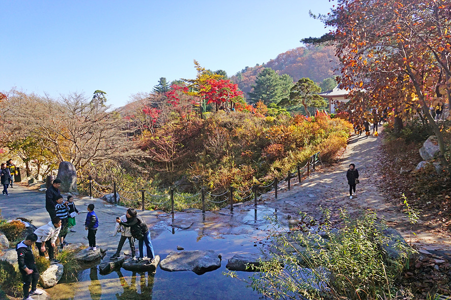 서울 근교 경기도 가평 아침고요수목원 가을 단풍 명소 입장권 최저가