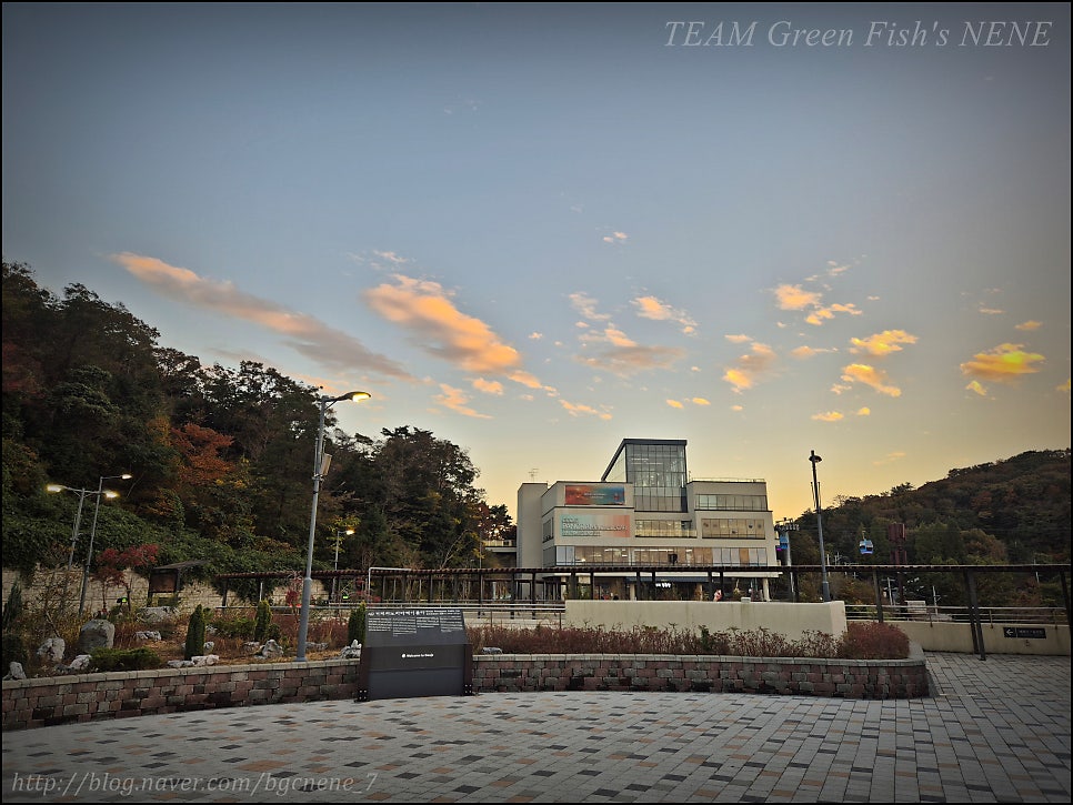 거제도 가을 여행 필수코스 케이블카 내돈내산 이용 후기 (경남 거제 동부면 파노라마케이블카)