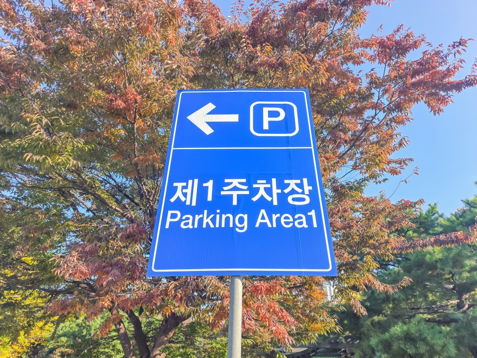 김포공항 주차비용 주차대행 내돈내산 후기