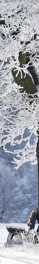 홍천 비발디파크 렌탈샵 장비대여 솔직 후기