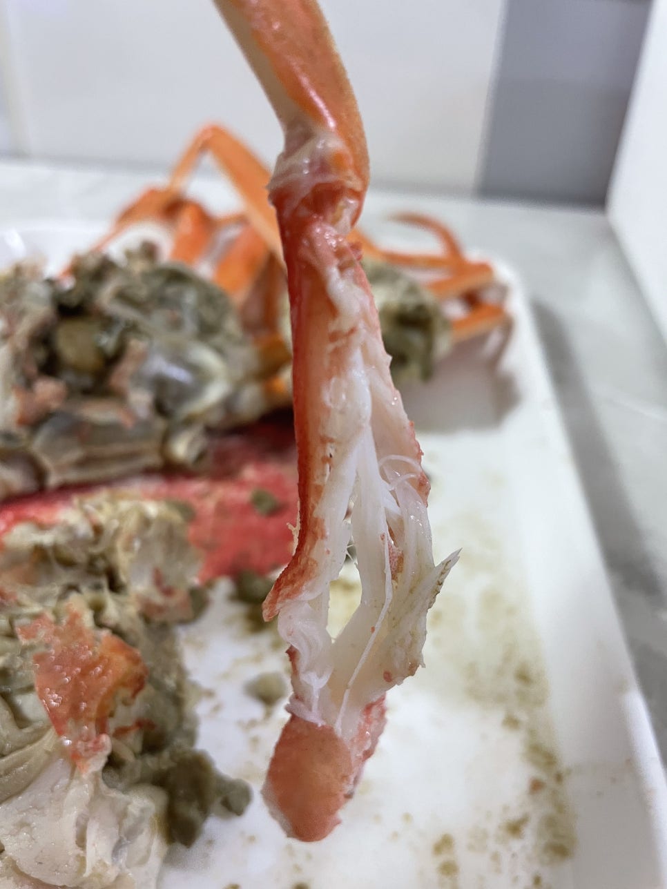 내담수산 자숙 영덕대게 가격 후기