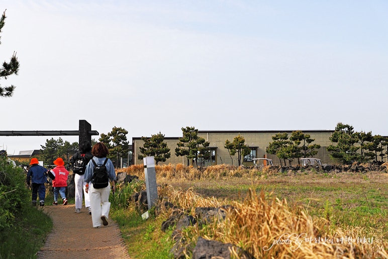 제주도 서귀포 가볼만한곳 성산 제주 섭지코지 산책길