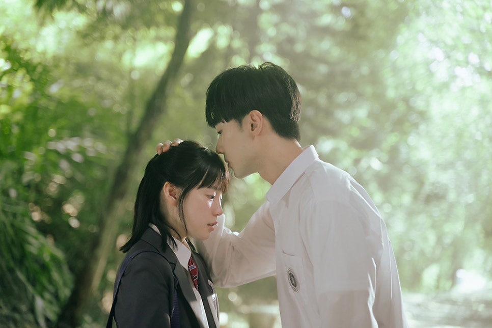 영화 썸머 블루 아워 정보 결말 해석 출연진, 사랑은 영원하다(사진과 추억) Summer Blue Hour 2025