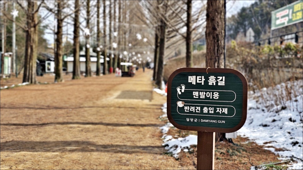 담양 여행 코스 추천 전라남도 여행 가볼만한곳 담양 데이트 메타세콰이어길 외