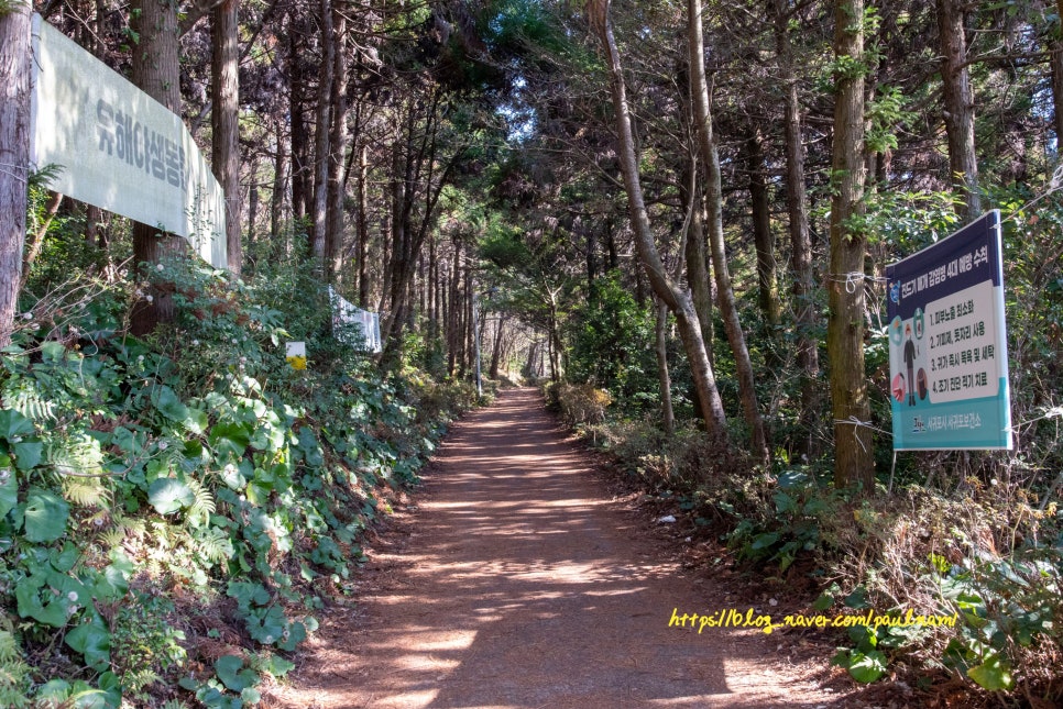 놀면 뭐하니 제주 최홍만 오름, 한라산 설경 보기 좋은 고근산 오름