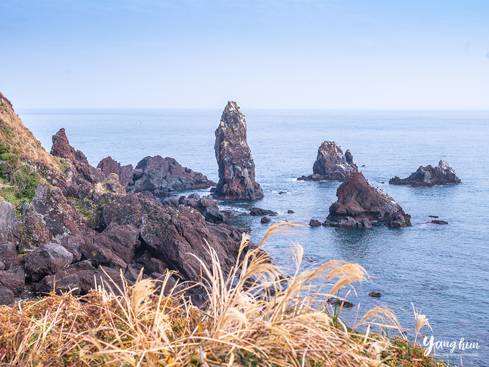 제주도 동쪽 코스 제주 섭지코지 볼거리