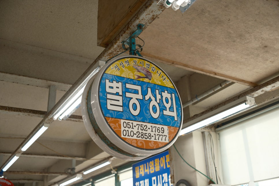 부산 가볼만한곳& 놀거리 - 광안리 해수욕장 & 밀락더마켓 & 회센터