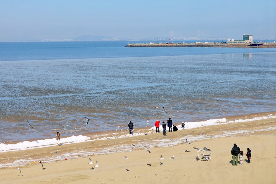 대부도 갈만한곳 경기도 드라이브 서울근교 당일치기 여행