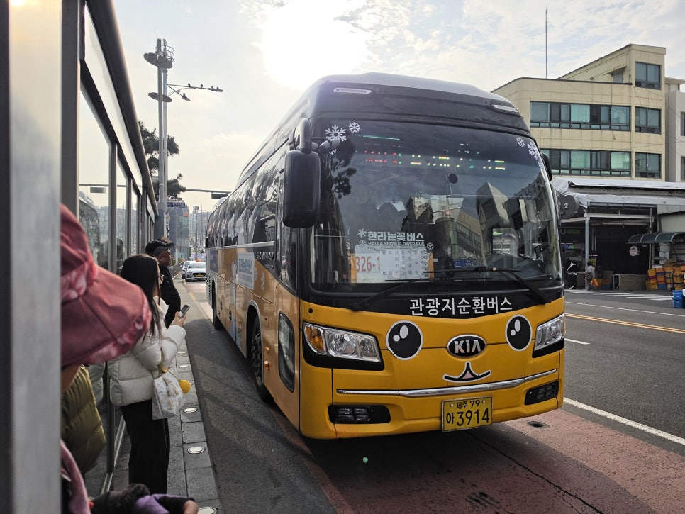 제주도 게스트하우스 추천 제주 혼자 여행 1인 숙소