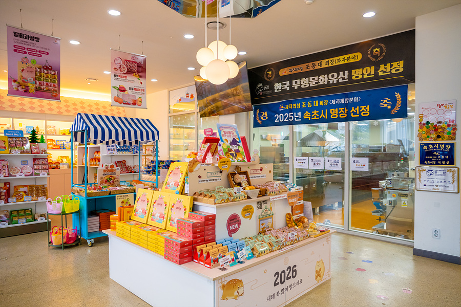 속초 카페 추천 디저트 만들기 체험 등
