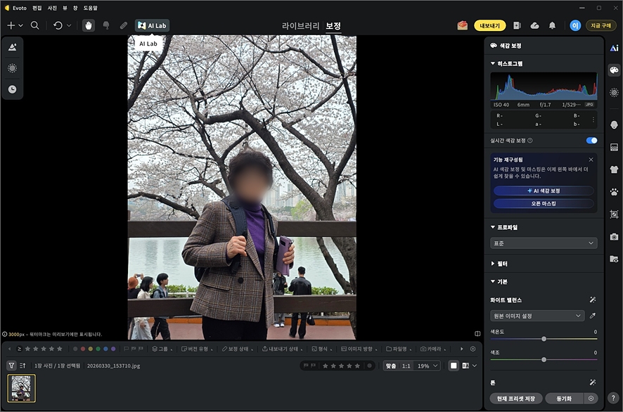 벚꽃 인물 사진 보정 이보토 Evoto 신기능 배경 사람 제거 방법