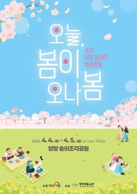 삼척 맹방 유채꽃 축제 vs 양양 남대천 벚꽃 강원도 축제 명소 비교