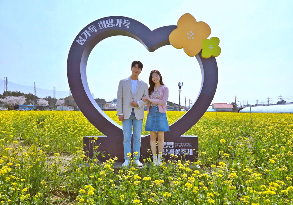 삼척 가볼만한곳 맹방유채꽃축제 마을 일정 강원도 벚꽃 명소