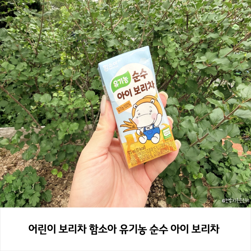 어린이 보리차 함소아 유기농 순수 아이 보리차