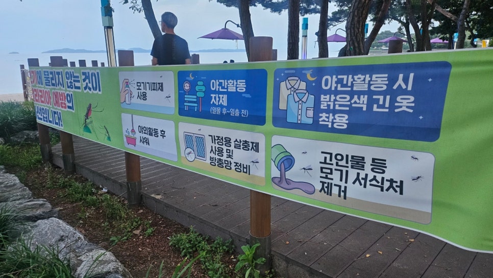 당일치기 강화 동막 해수욕장 야영장 개장 캠핑 취사